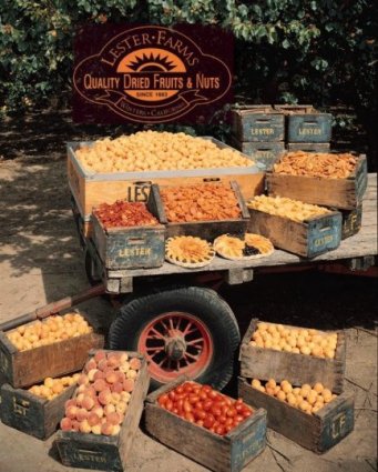 Please Click Here to Enter